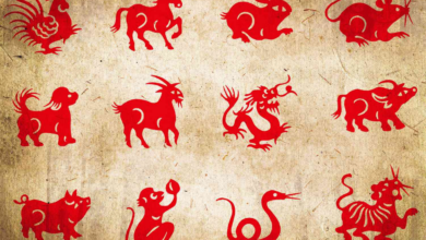 Çin Astrolojisi Hayatınıza Nasıl Yön Veriyor