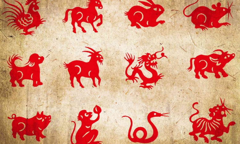 Çin Astrolojisi Hayatınıza Nasıl Yön Veriyor